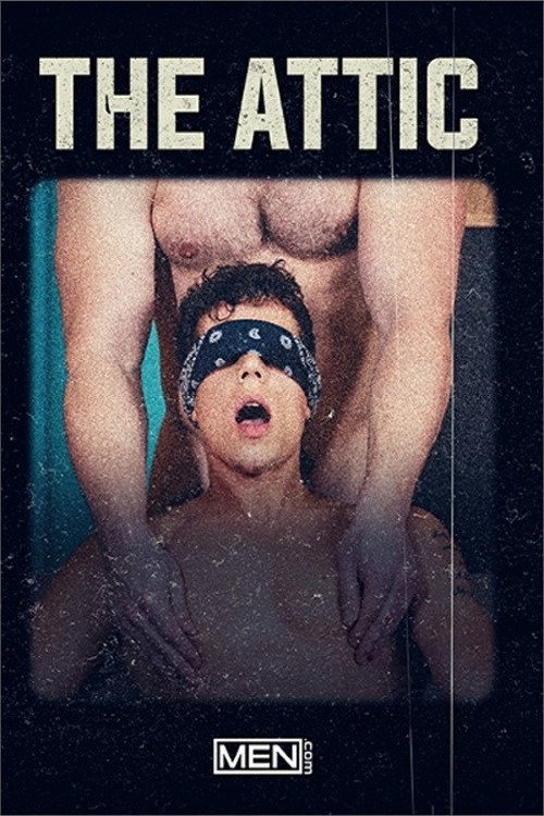Movie poster for The Attic (2021)