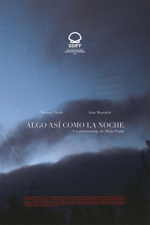 Movie poster for Something Like Night (2021)