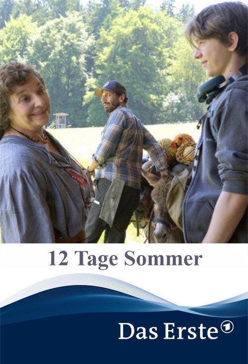 Movie poster for 12 Tage Sommer (2021)