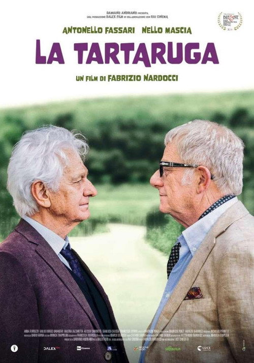 Movie poster for La tartaruga (2024)