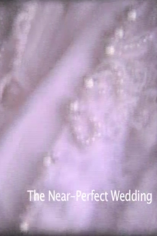 Movie poster for Near-Perfect Wedding (2007)