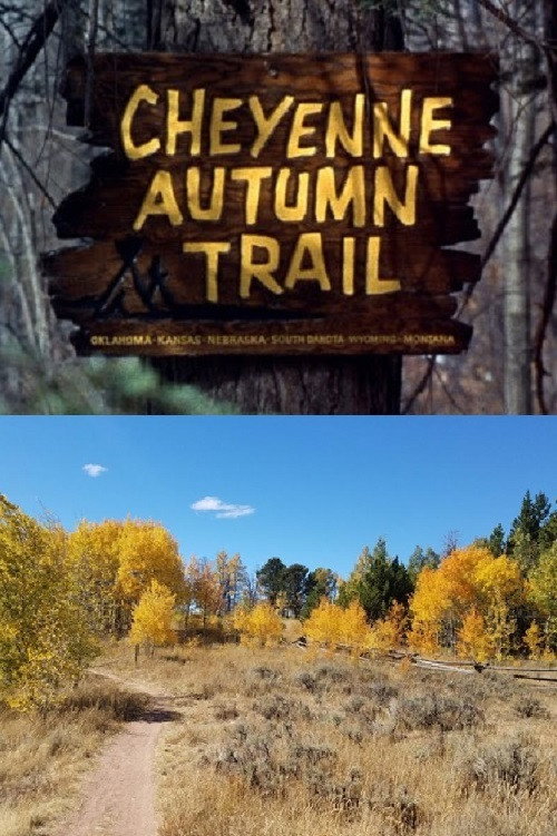 Movie poster for Cheyenne Autumn Trail (1964)