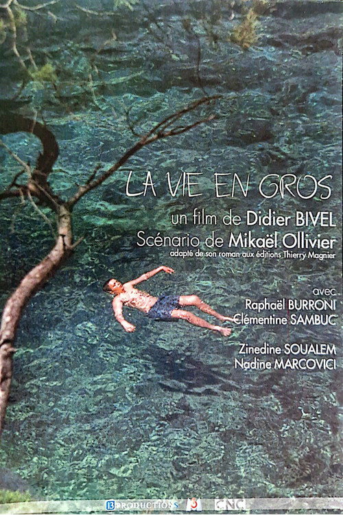 Movie poster for La vie en gros (2002)