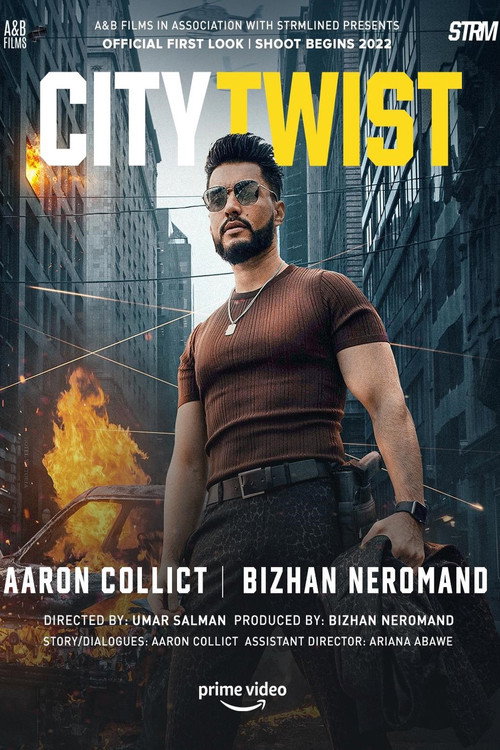Movie poster for City Twist (2023)