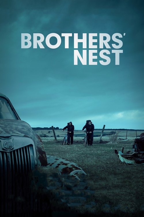 Movie poster for Brothers' Nest (2018)