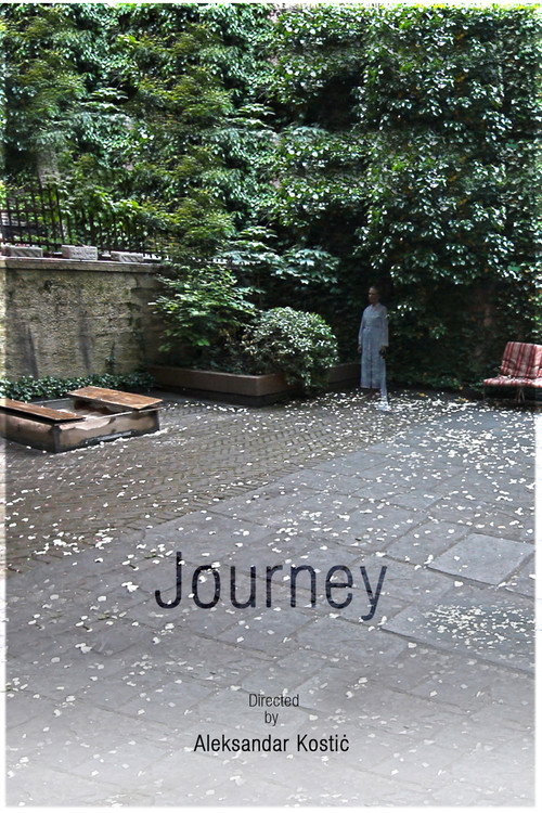 Movie poster for Journey (2012)