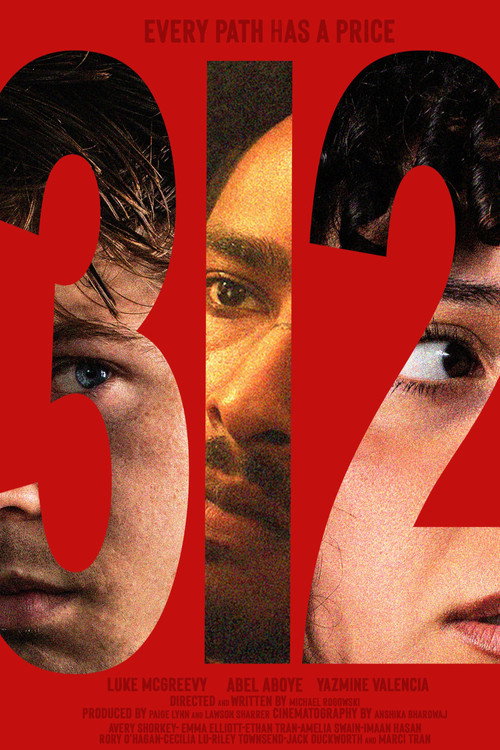 Movie poster for 312 (2026)