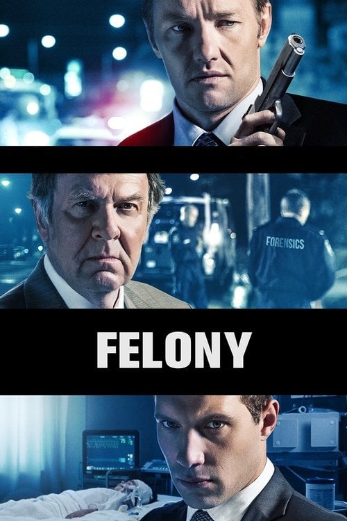 Movie poster for Felony (2014)