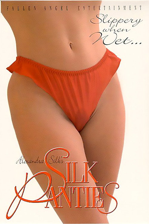 Movie poster for Silk Panties (2001)