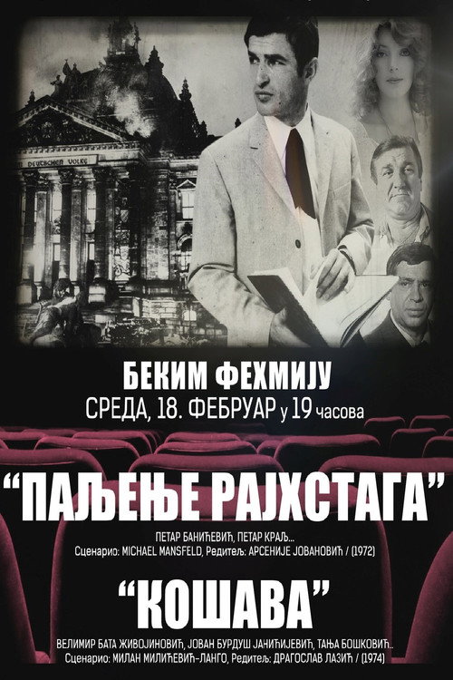 Movie poster for The Reichstag Fire (1972)