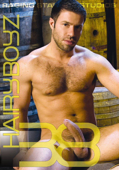 Movie poster for Hairy Boyz 38 (2014)