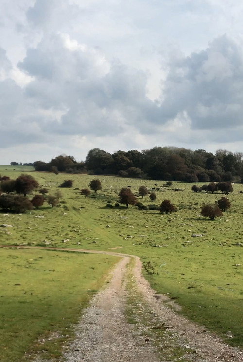 Movie poster for Journey to Avebury (2023)