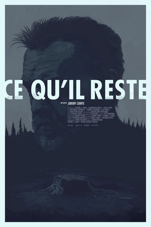 Movie poster for What Remains (2016)