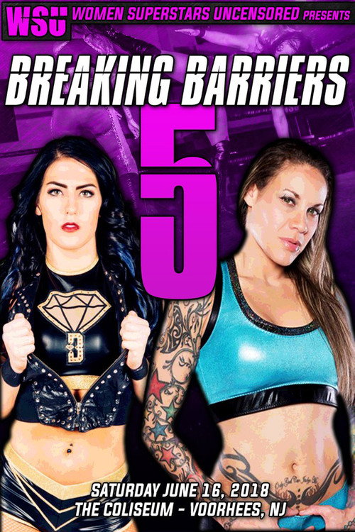 Movie poster for WSU Breaking Barriers 5 (2018)