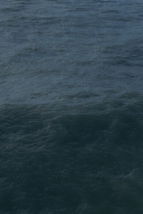 Movie poster for Twenty Nine Minutes at Sea (2017)