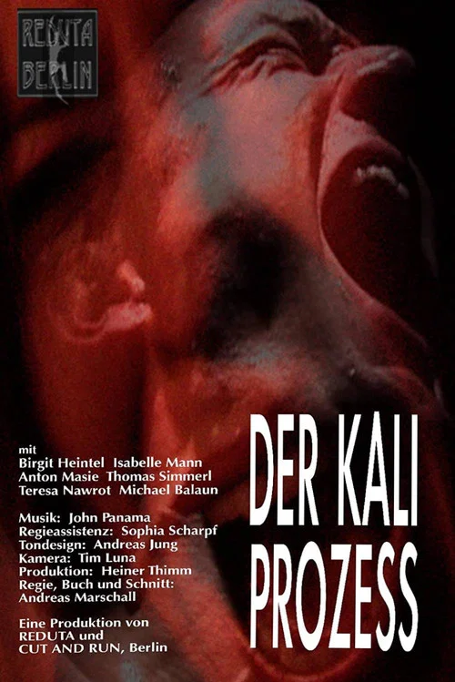 Movie poster for Der Kali Prozess (2003)