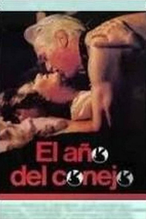 Movie poster for El año del conejo (1987)