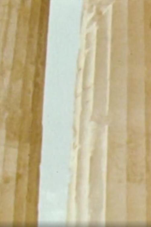 Movie poster for Chronique Atopique (1981)