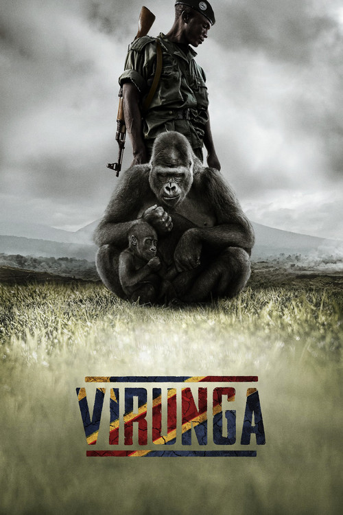 Movie poster for Virunga (2014)
