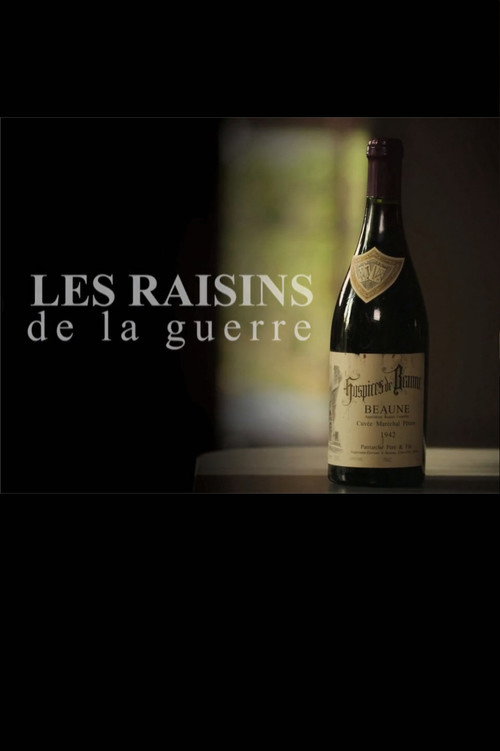Movie poster for Les raisins de la guerre (2015)