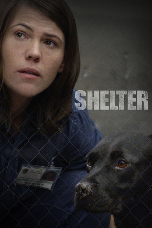 Movie poster for Shelter (2015)