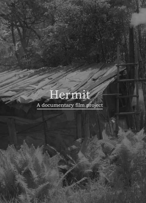 Movie poster for Hermit (2018)
