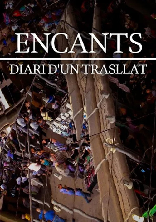 Movie poster for Encants, diari d'un trasllat (2014)
