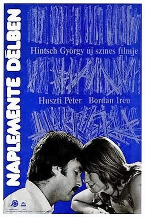 Movie poster for Sunset at Noon (1979)