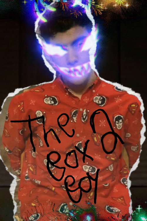 Movie poster for The Box Boy 2: A Christmas Meltdown (2023)