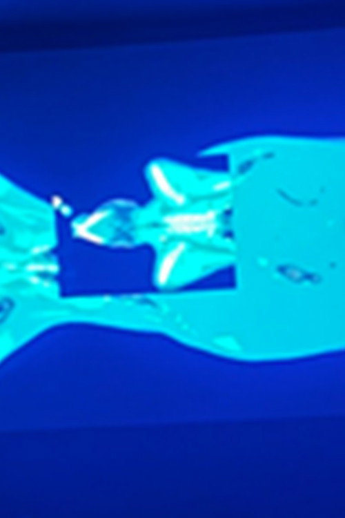 Movie poster for X-Ray Katx (2026)