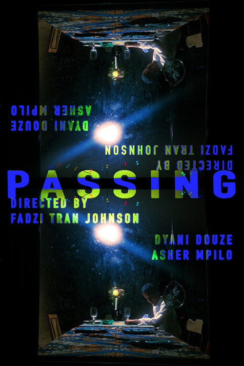 Movie poster for Passing (2024)