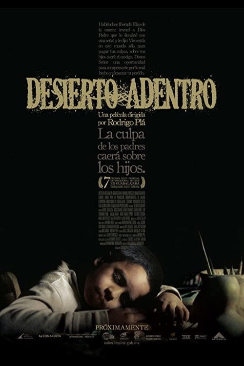 Movie poster for The Desert Within (2008)