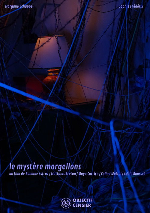 Movie poster for The Mystery of Morgellons (2026)