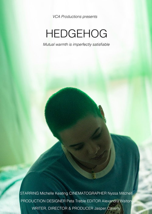 Movie poster for Hedgehog (2024)