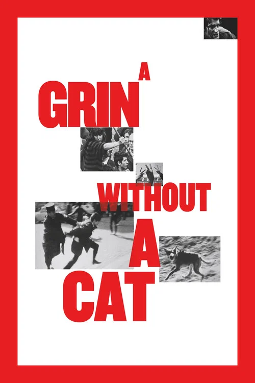 Movie poster for A Grin Without a Cat (1977)