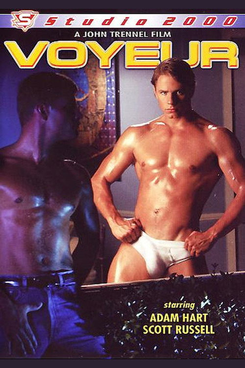 Movie poster for Voyeur (1994)