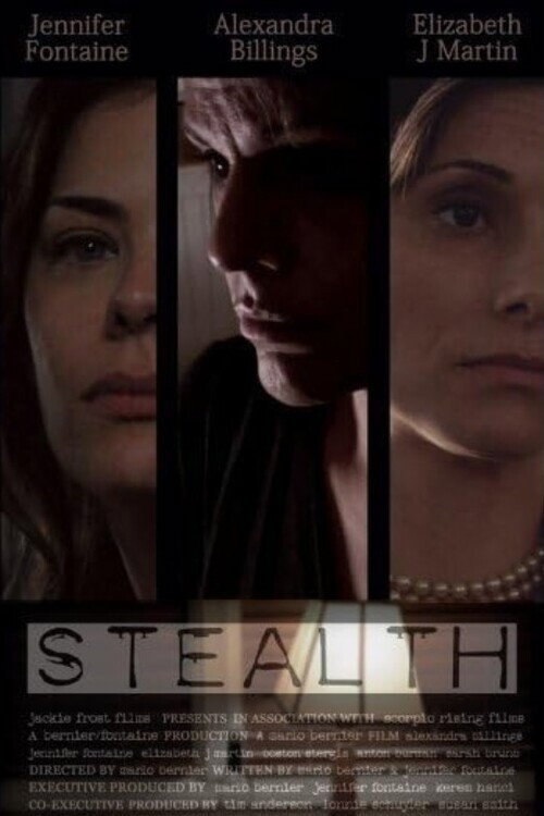Movie poster for Stealth (2009)