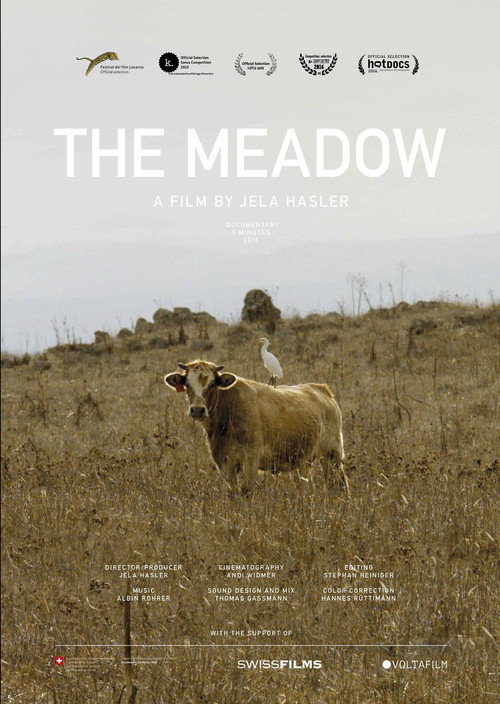 Movie poster for The Meadow (2015)