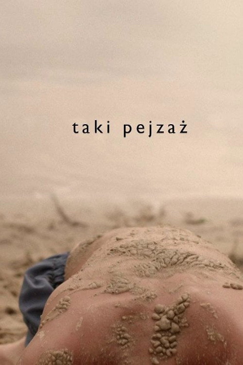 Movie poster for Such a Landscape (2013)