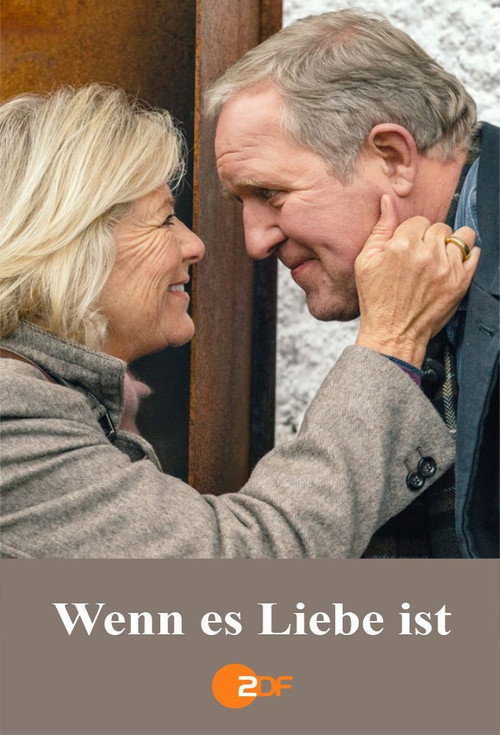 Movie poster for Wenn es Liebe ist (2016)