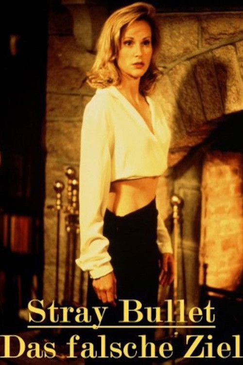 Stray Bullet poster