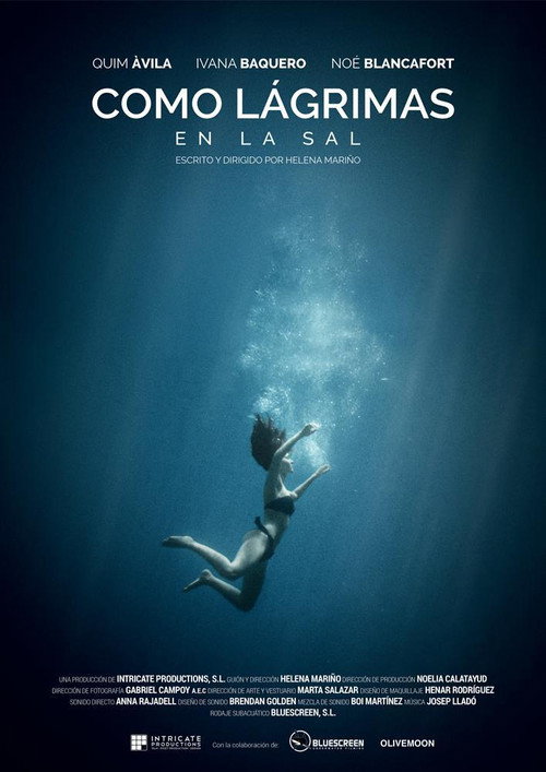 Movie poster for Como lagrimas en la sal (2016)