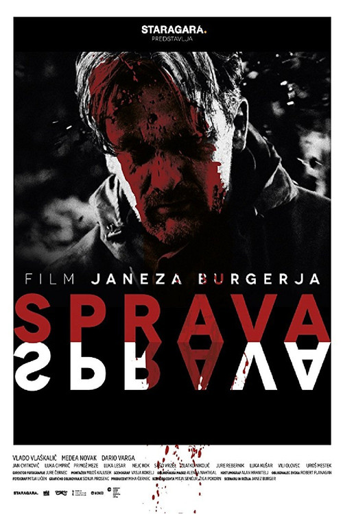 Movie poster for Reconciliation (2014)