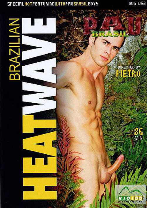 Movie poster for Brazilian Heatwave (2007)