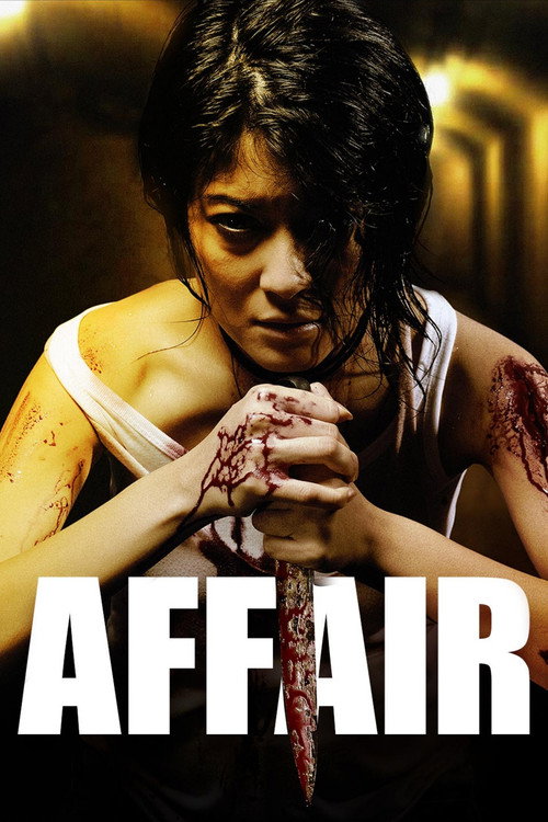Movie poster for Affair (2010)