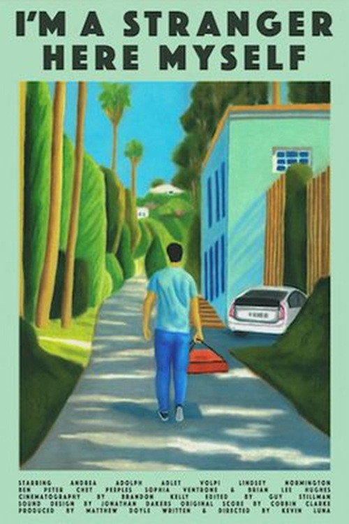 Movie poster for I'm a Stranger Here Myself (2026)