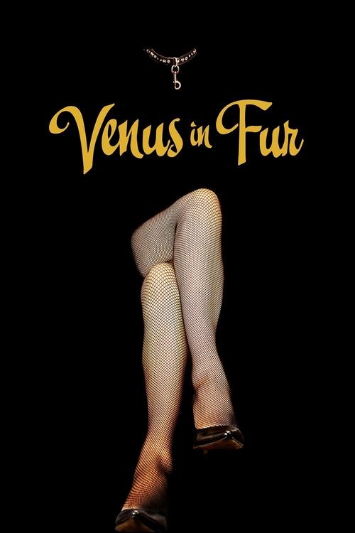 Movie poster for Venus in Fur (2013)