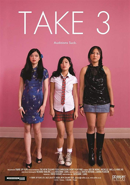 Movie poster for Take 3 (2008)