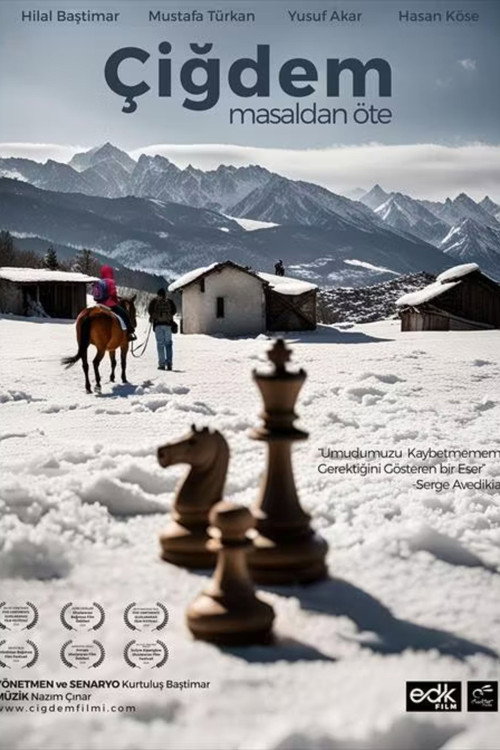 Movie poster for Çiğdem