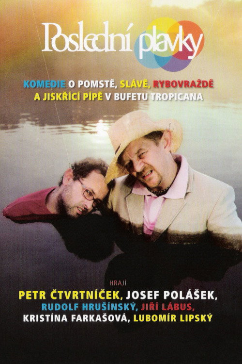 Movie poster for Poslední plavky (2007)